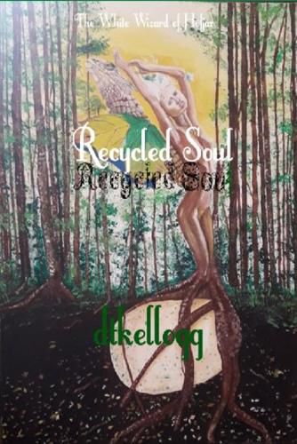 Cover image for Recycled Soul