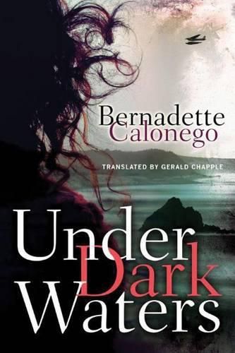 Cover image for Under Dark Waters