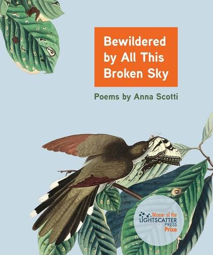 Cover image for Bewildered by All This Broken Sky