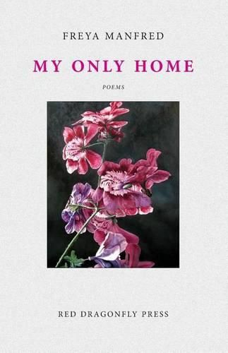 Cover image for My Only Home