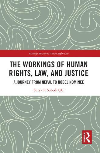 Cover image for The Workings of Human Rights, Law and Justice