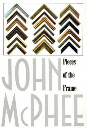 Cover image for Pieces of the Frame