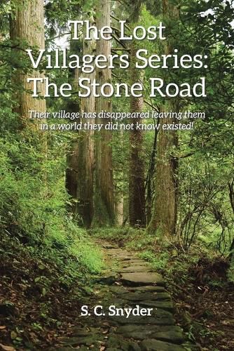 Cover image for The Lost Villagers Series