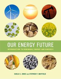 Cover image for Our Energy Future: Introduction to Renewable Energy and Biofuels