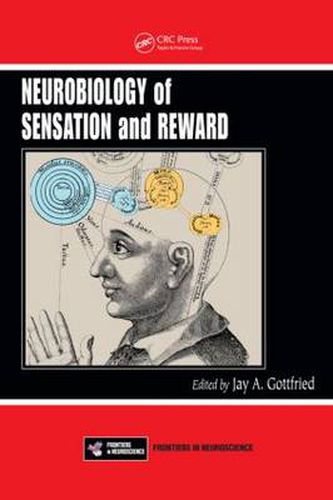 Cover image for Neurobiology of Sensation and Reward