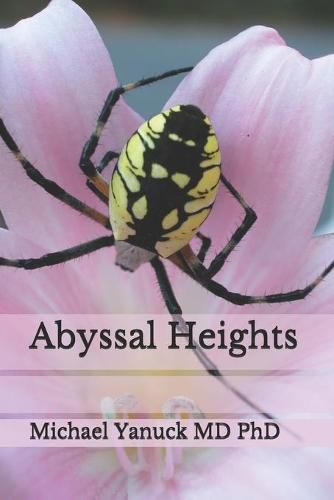 Cover image for Abyssal Heights