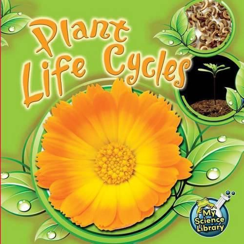 Plant Life Cycles