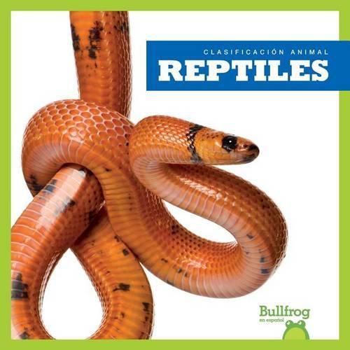 Cover image for Reptiles (Reptiles)