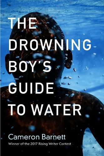 Cover image for The Drowning Boy's Guide to Water