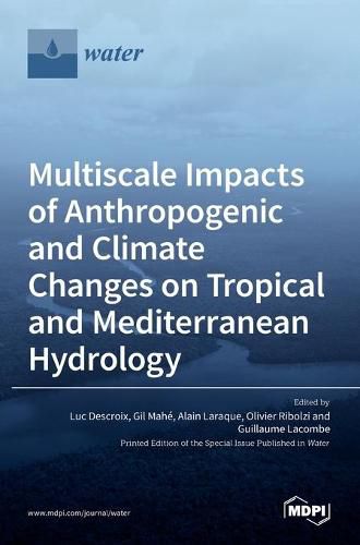 Cover image for Multiscale Impacts of Anthropogenic and Climate Changes on Tropical and Mediterranean Hydrology