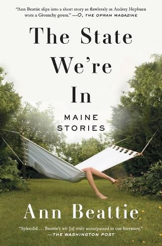 Cover image for The State We're in: Maine Stories