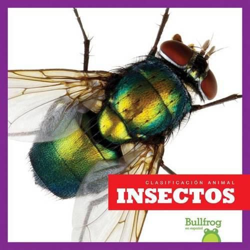 Cover image for Insectos / Insects