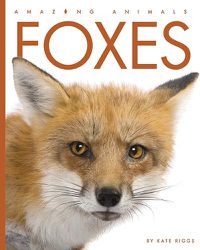 Cover image for Foxes