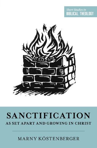 Cover image for Sanctification as Set Apart and Growing in Christ