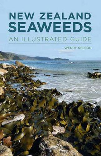 Cover image for New Zealand Seaweeds: An Illustrated Guide