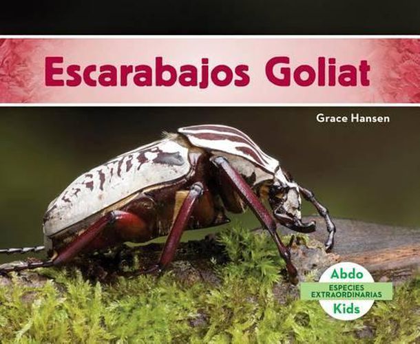 Cover image for Escarabajos Goliat/ Goliath Beetles