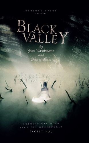 Cover image for Black Valley