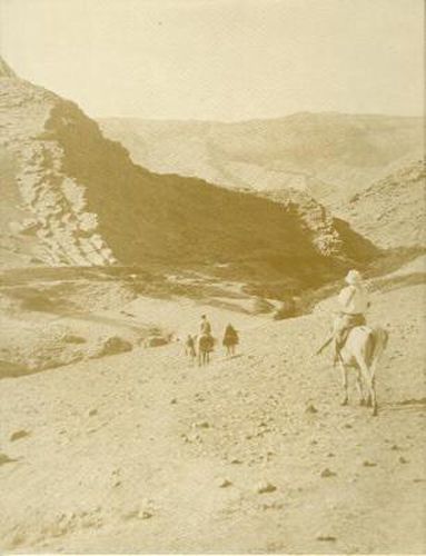 Cover image for The Holmes Expedition to Luristan