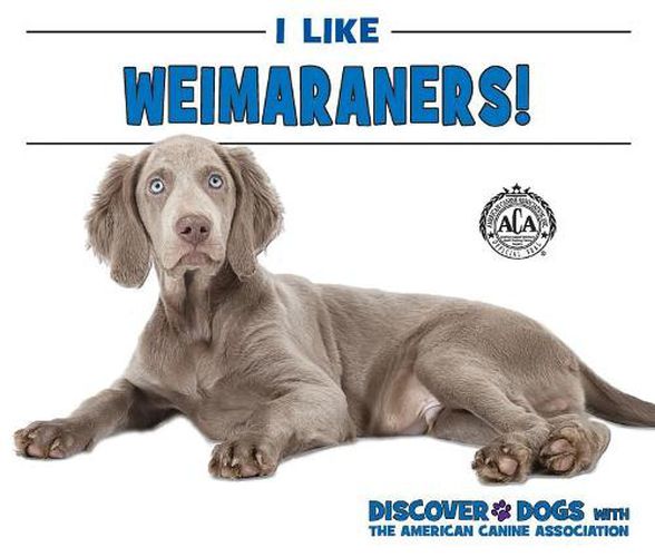 I Like Weimaraners!