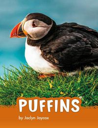 Cover image for Puffins