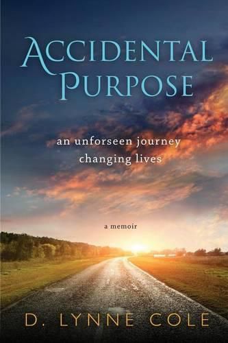 Cover image for Accidental Purpose: An Unforeseen Journey Changing Lives