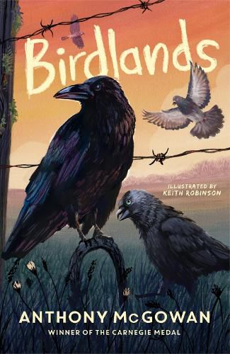 Cover image for Birdlands