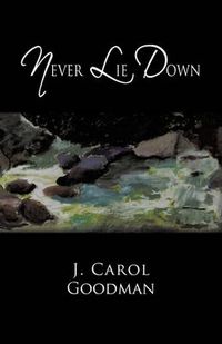 Cover image for Never Lie Down
