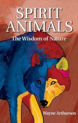 Cover image for Spirit Animals: Meanings & Stories