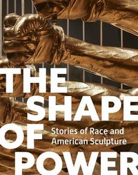 Cover image for The Shape of Power