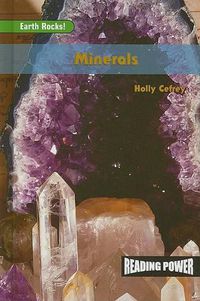 Cover image for Minerals