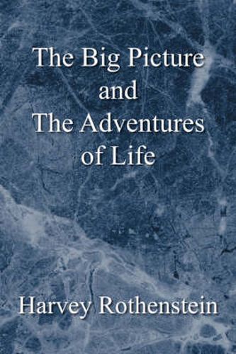 Cover image for The Big Picture and the Adventures of Life