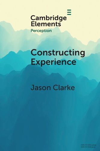 Cover image for Constructing Experience