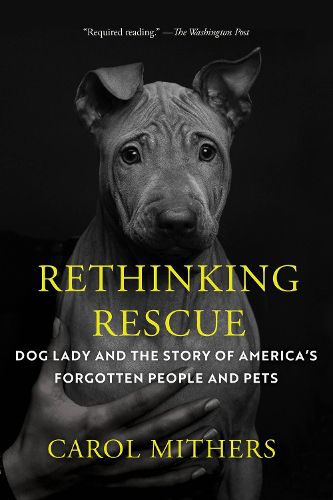 Cover image for Rethinking Rescue