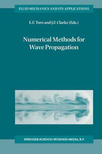 Cover image for Numerical Methods for Wave Propagation: Selected Contributions from the Workshop held in Manchester, U.K., Containing the Harten Memorial Lecture