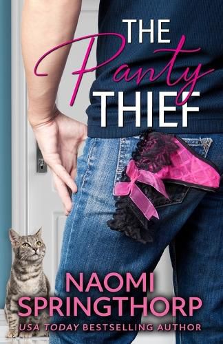 Cover image for The Panty Thief