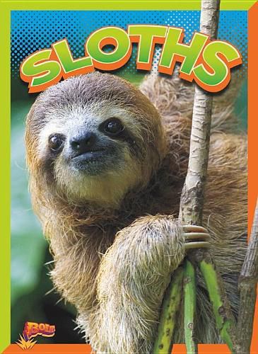 Cover image for Sloths