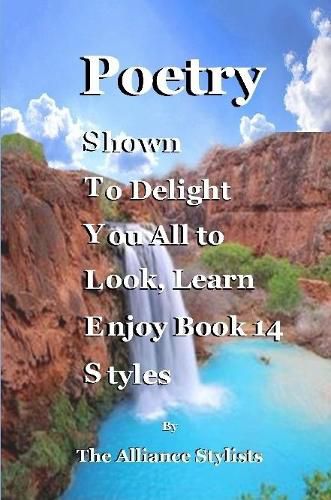 Cover image for Poetry Styles Book Fourteen