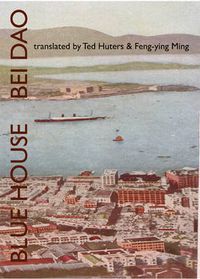 Cover image for Blue House