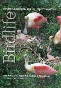 Cover image for Birdlife of Houston, Galveston, and the Upper Texas Coast