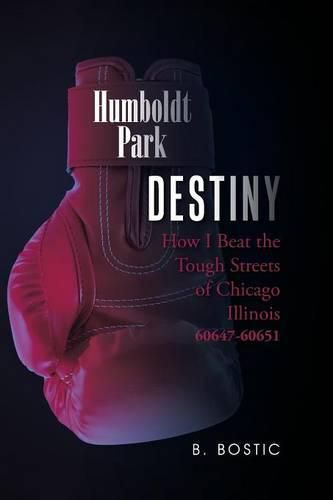 Cover image for Destiny