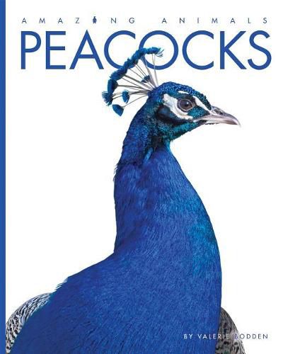 Peacocks