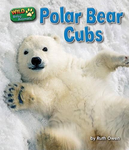 Cover image for Polar Bear Cubs