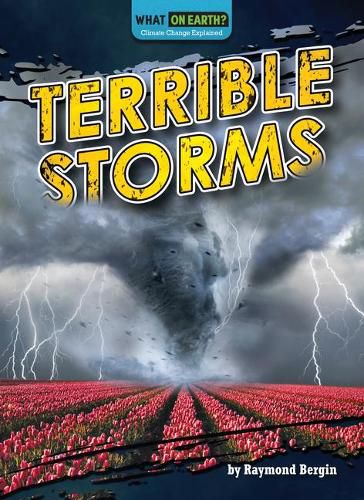 Cover image for Terrible Storms