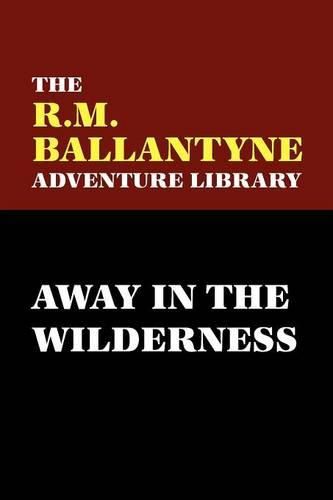 Cover image for Away in the Wilderness