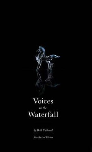 Cover image for Voices in the Waterfall