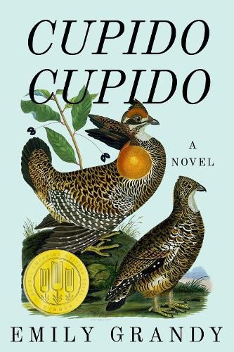 Cover image for Cupido Cupido