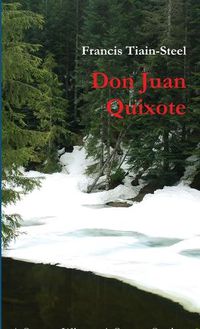 Cover image for Don Juan Quixote