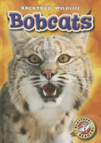 Cover image for Bobcats