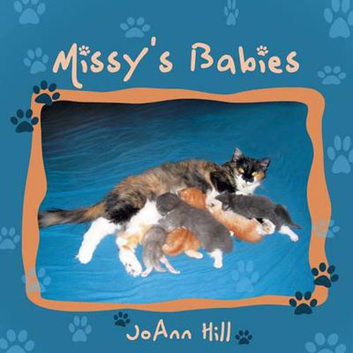 Cover image for Missy's Babies