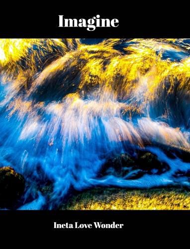 Cover image for Imagine